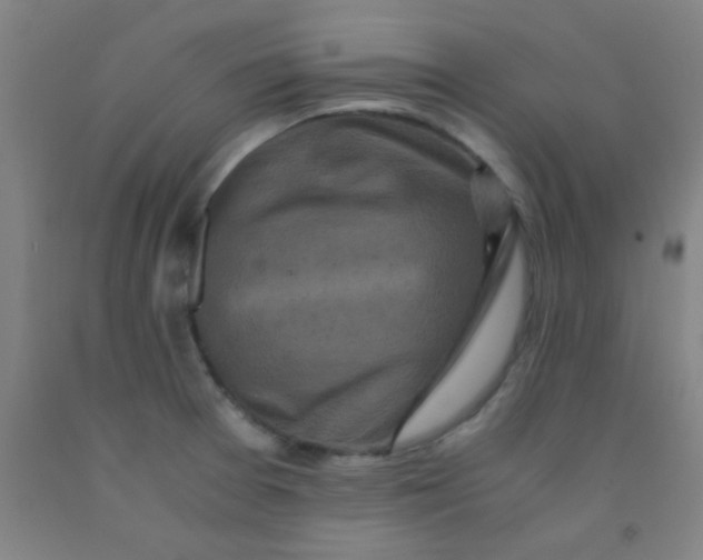 X0000092021377200709271540