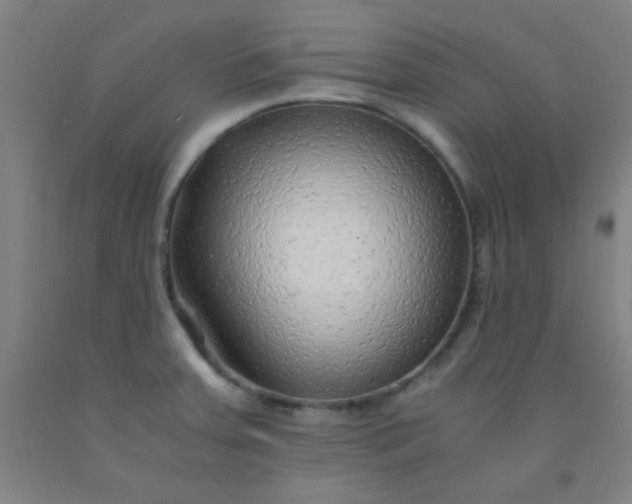 X0000092021379200709271540