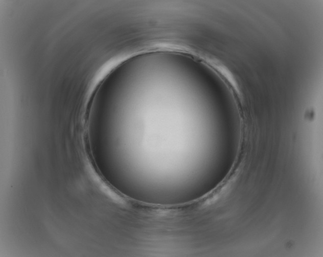 X0000092021381200709271540