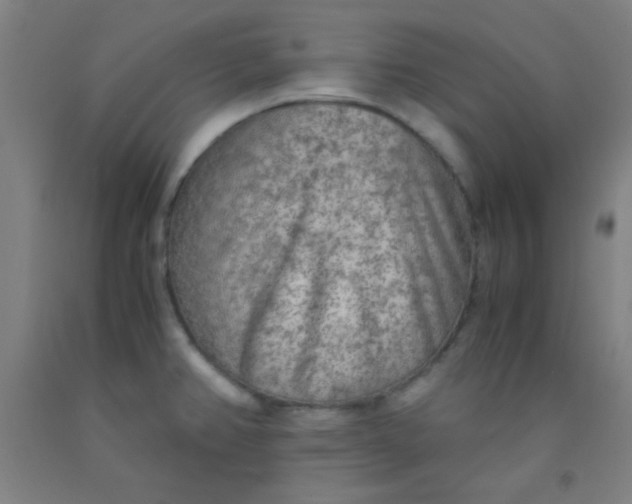 X0000092021382200709271540