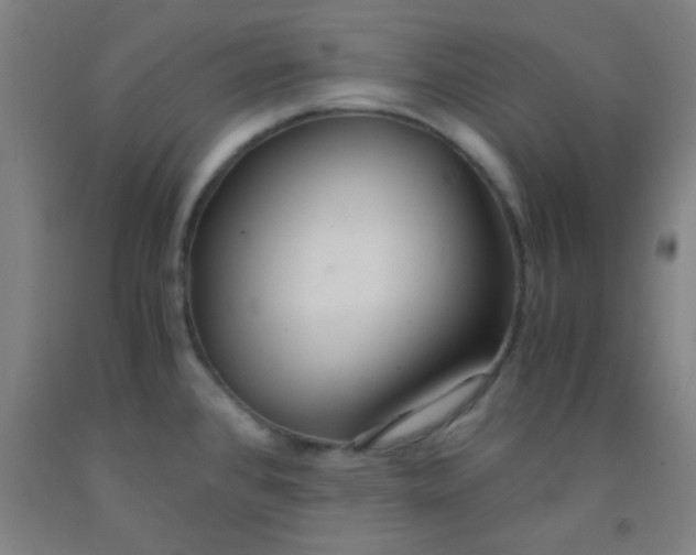 X0000092021384200709271540