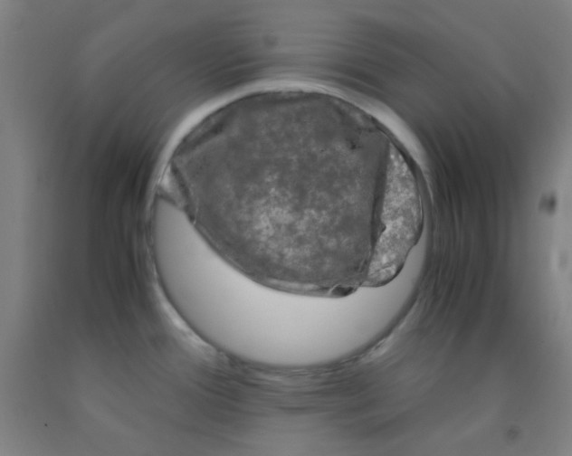 X0000092021388200709271540