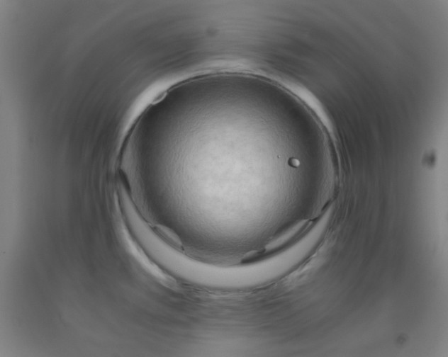 X0000092021389200709271540