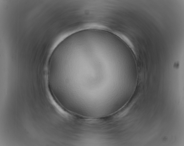 X0000092021391200709271540