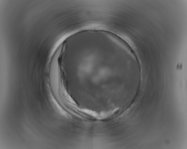 X0000092021392200709271540