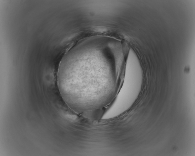 X0000092021394200709271540