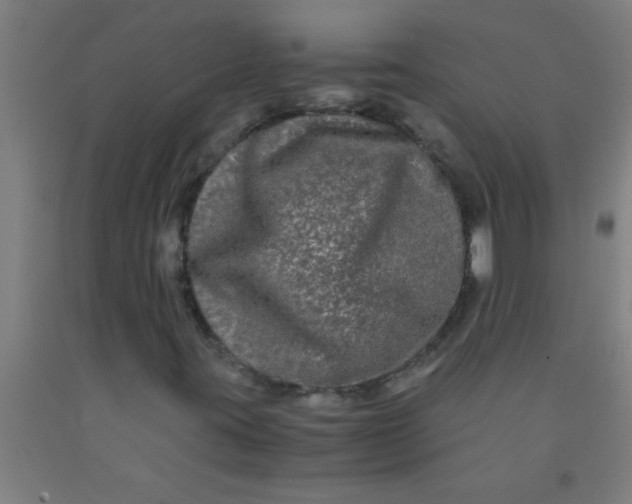 X0000092021395200709271540