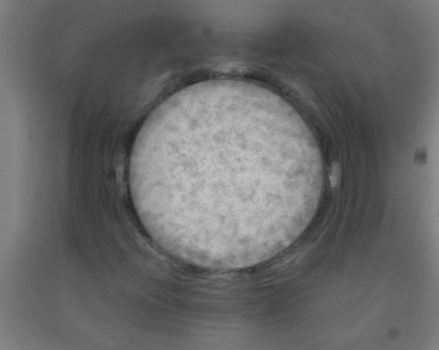 X0000092021396200709271540