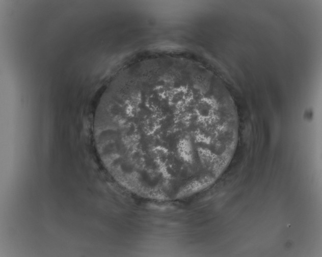 X0000092021397200709271540