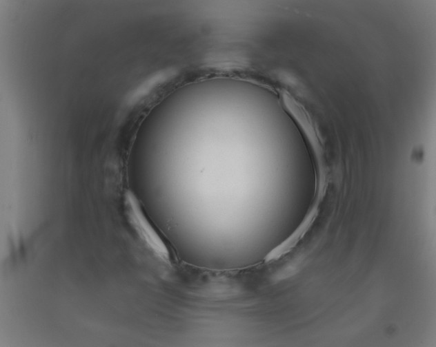 X0000092021398200709271540