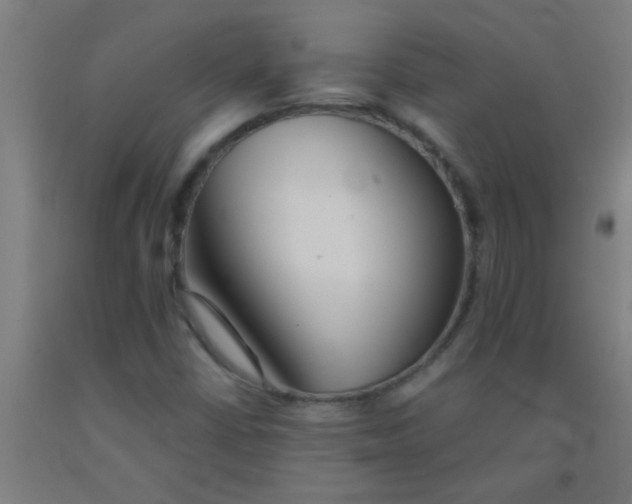 X0000092021402200709271540