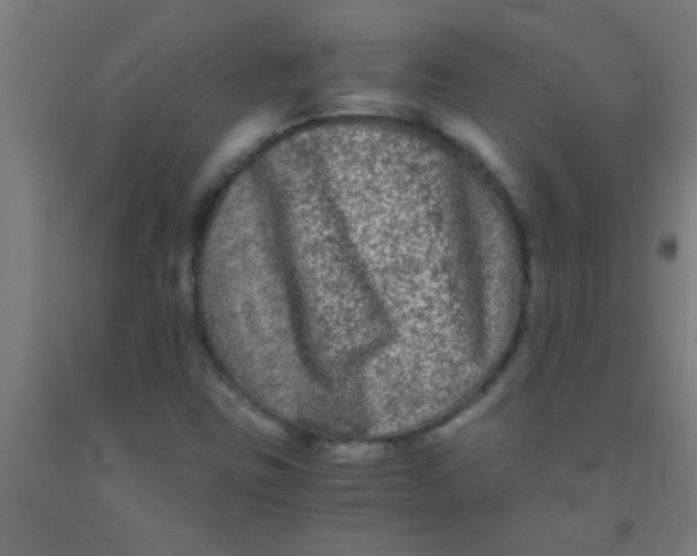 X0000092021403200709271540