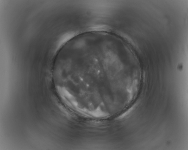 X0000092021405200709271540