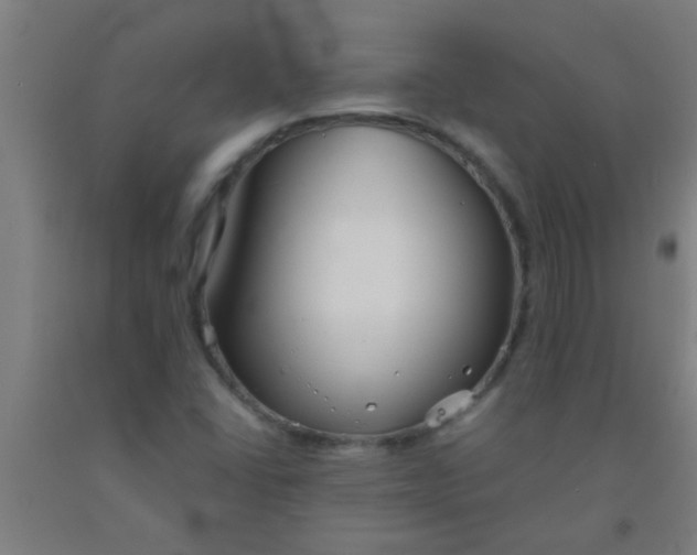 X0000092021406200709271540