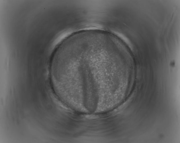 X0000092021407200709271540