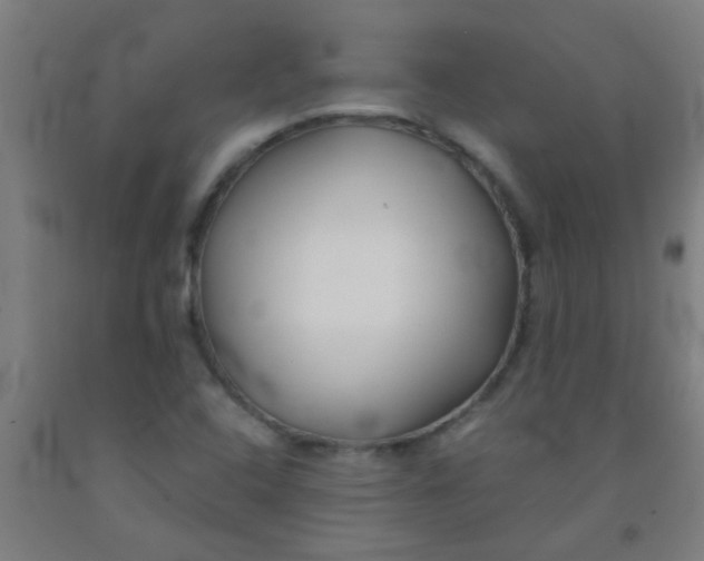 X0000092021408200709271540