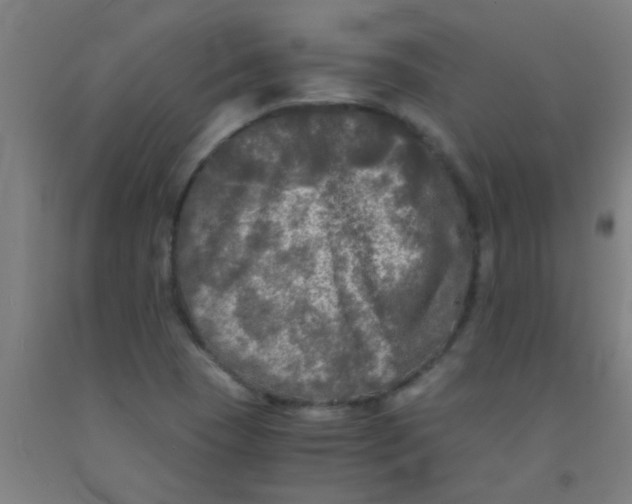 X0000092021409200709271540