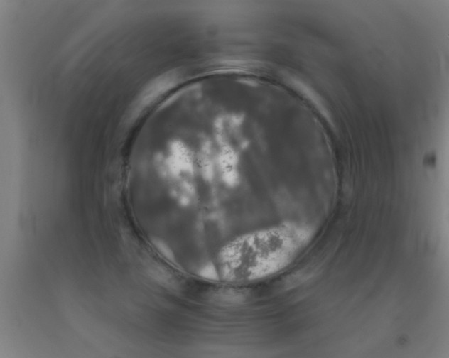 X0000092021411200709271540