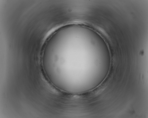 X0000092021412200709271540