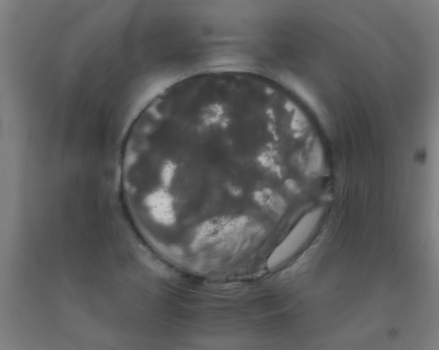 X0000092021413200709271540