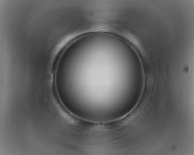 X0000092021414200709271540