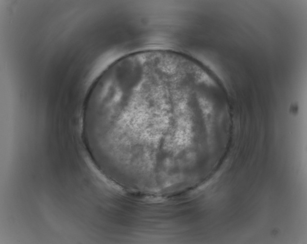 X0000092021415200709271540