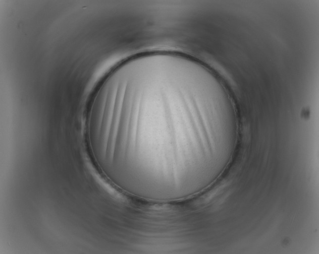 X0000092021416200709271540