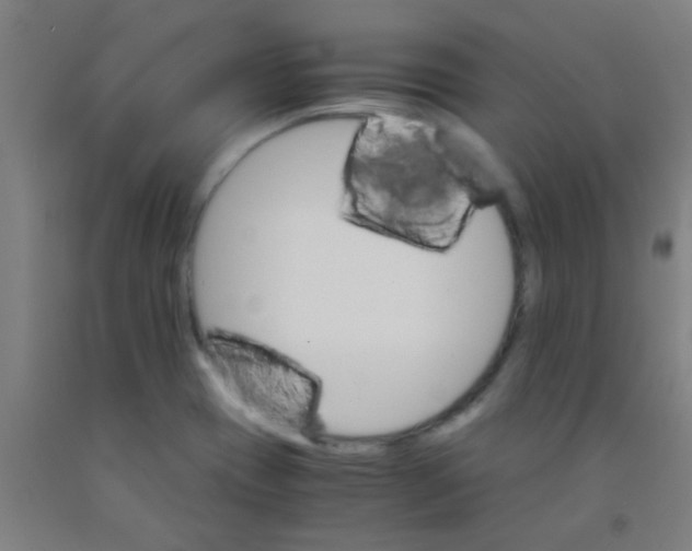 X0000092021417200709271540