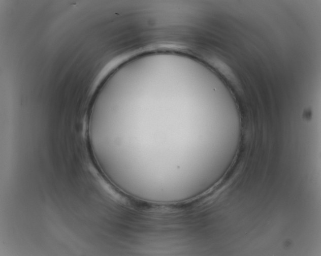 X0000092021420200709271540