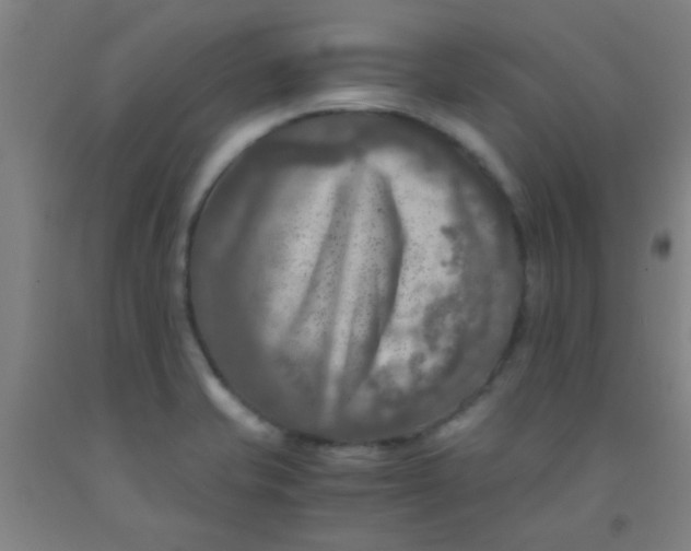 X0000092021421200709271540