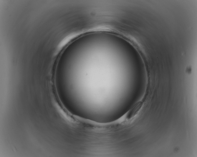 X0000092021422200709271540