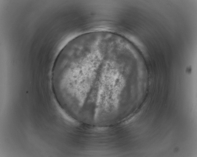 X0000092021423200709271540