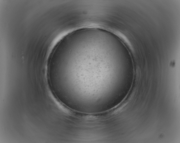 X0000092021424200709271540