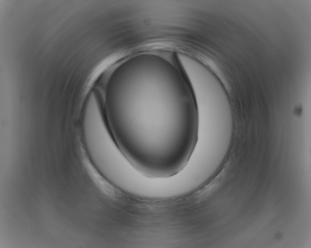 X0000092021426200709271540