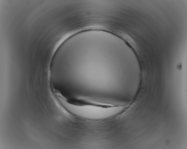 X0000092021428200709271540