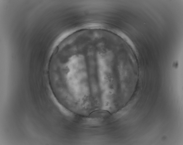 X0000092021429200709271540