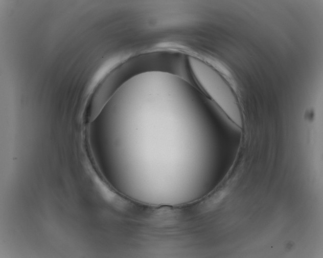 X0000092021430200709271540