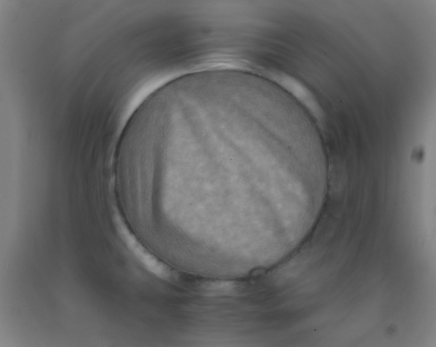 X0000092021431200709271540