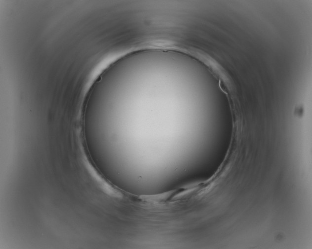 X0000092021432200709271540