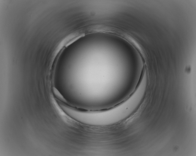 X0000092021434200709271540