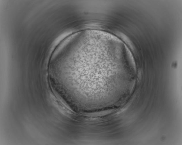 X0000092021435200709271540