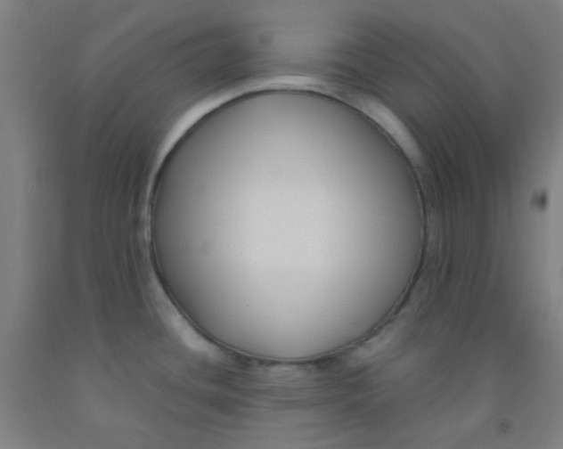 X0000092021436200709271540