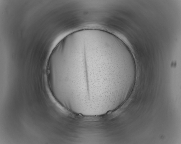 X0000092021440200709271540