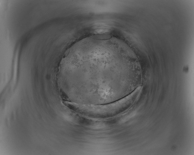 X0000092021441200709271540