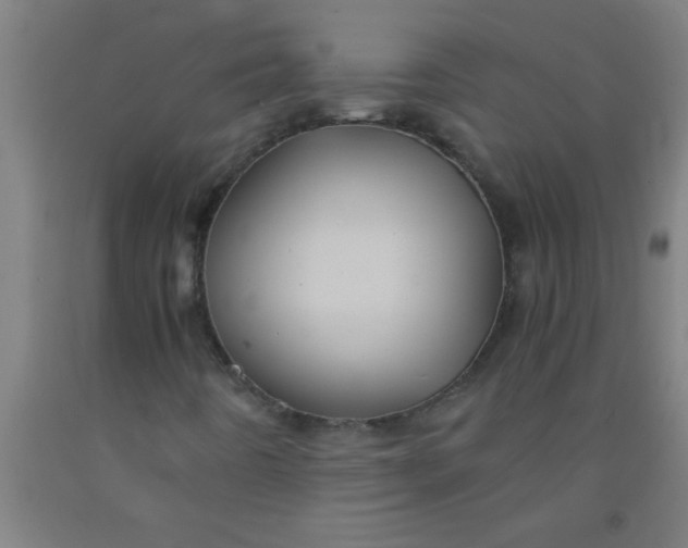 X0000092021442200709271540