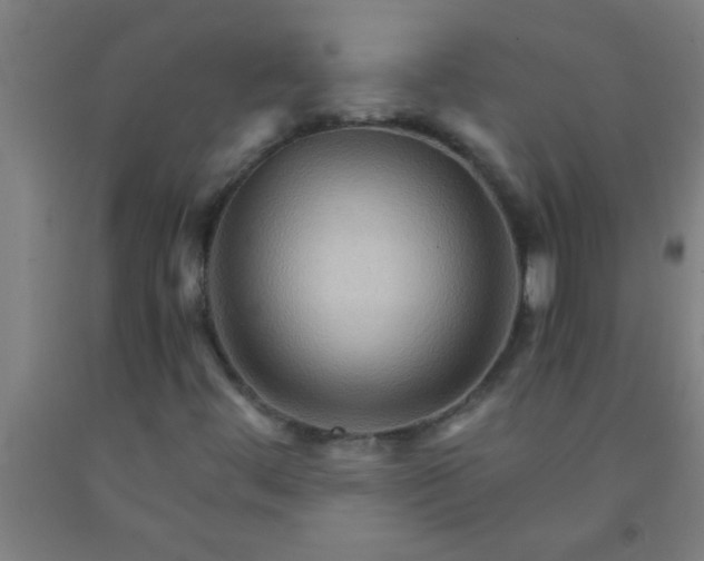 X0000092021444200709271540