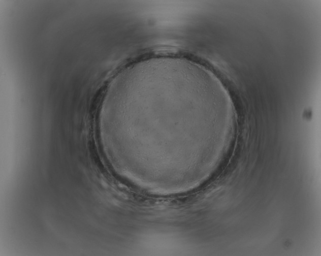 X0000092021445200709271540