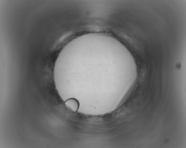 X0000092021446200709271540