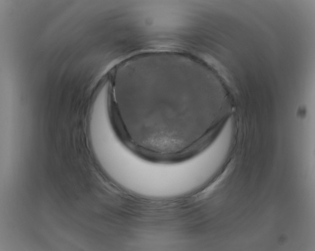 X0000092021449200709271540