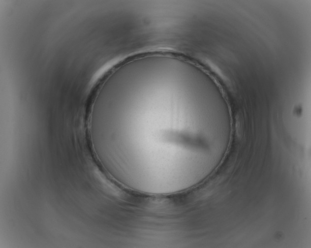 X0000092021452200709271539